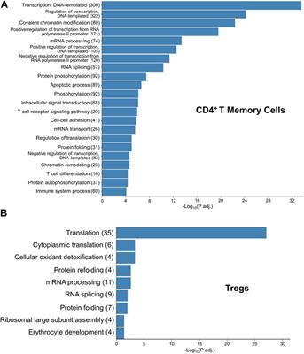 Chronic hypoxia disrupts T regulatory cell phenotype contributing to the emergence of exTreg-TH17 cells